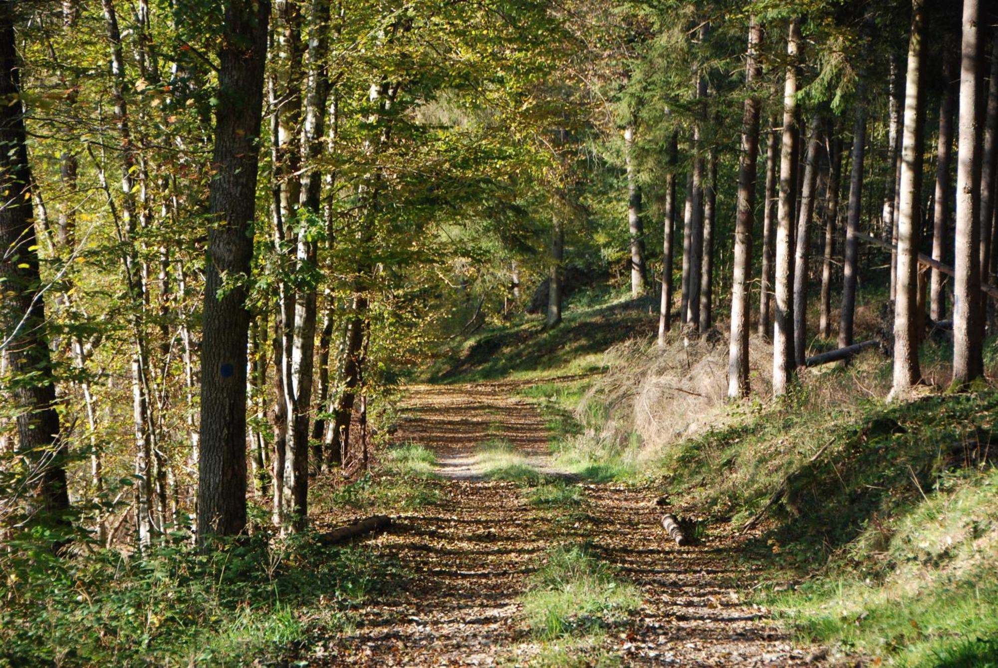 B&B Les Trois Voisins Bourseigne-Vieille Zewnętrze zdjęcie
