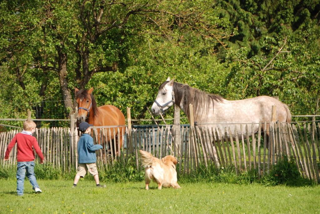 B&B Les Trois Voisins Bourseigne-Vieille Zewnętrze zdjęcie